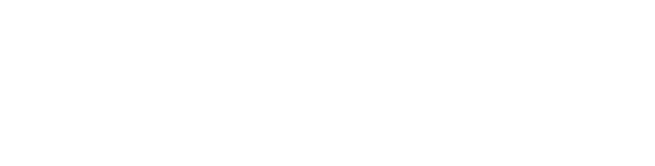 Salmantinos